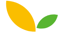 全球采購(gòu)是金果源的核心亮點(diǎn)